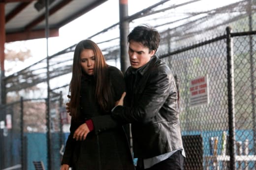 The Vampire Diaries': Alaric Originally Had Only a 4-Episode Arc
