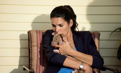 Rizzoli & Isles Review: When In Doubt, Cuddle a Puppy