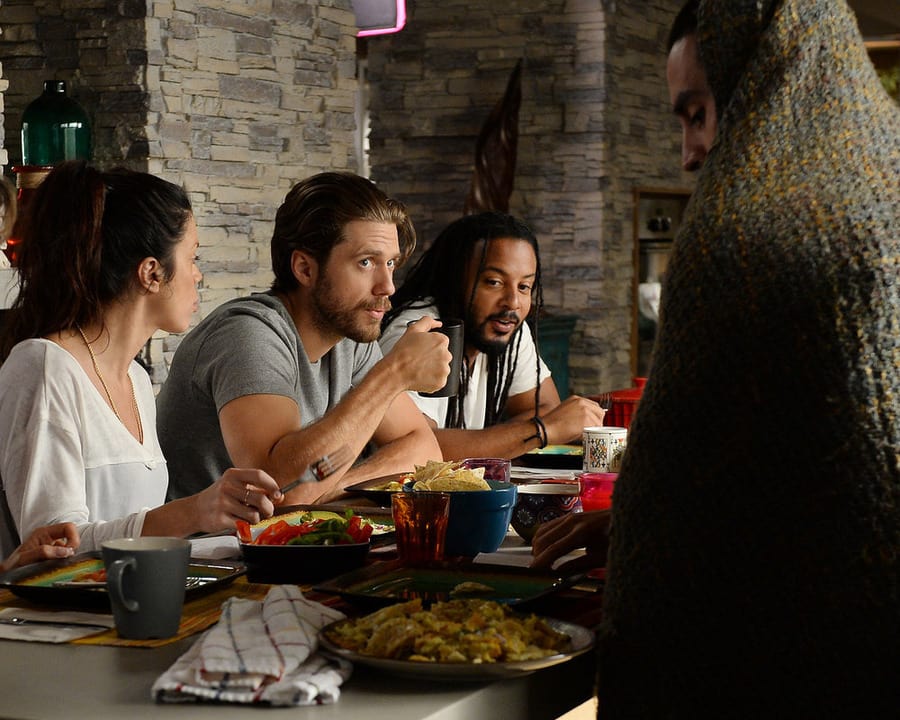 graceland tv show reviews