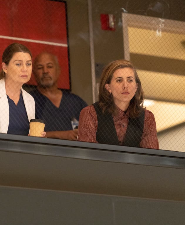 ABC Sets Finale Dates for Grey's Anatomy, The Rookie, & More! TV Fanatic