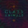 Glass animals psylla