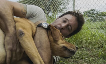 Hawaii Five-0 Season 10 Episode 14 Review: There Was a Lull, and Tthen the Wind Began to Blow About