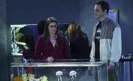 The Big Bang Theory Season 9 Episode 9 Review: The Platonic Permutation