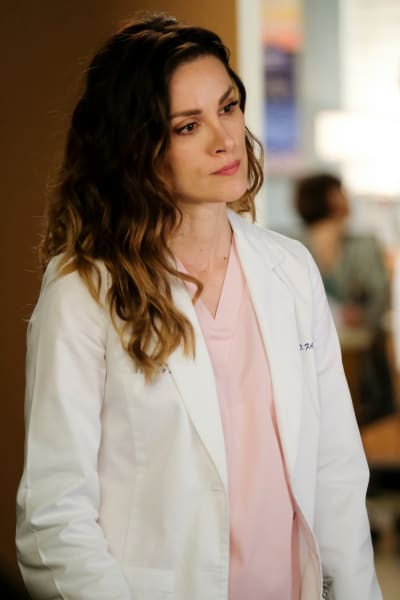 Protective Sister  - Grey's Anatomy Season 16 Episode 15