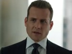 Harvey Suffers a Loss - Suits