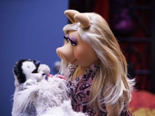 Reevaluating Relationships - The Muppets