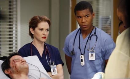 Grey's Anatomy Review: Tears, Fears and Goodbye
