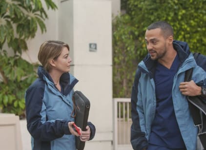 Grey's anatomy season 12 watch new arrivals online