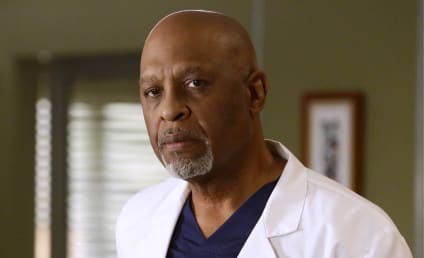 Grey's Anatomy Season 13 Episode 11 Review: Jukebox Hero