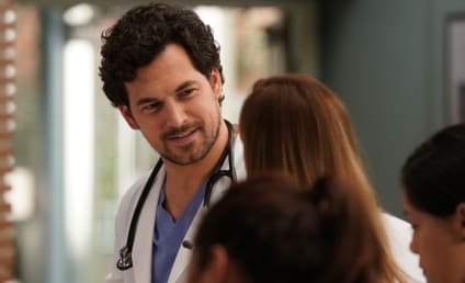 Grey's Anatomy Season 16 Episode 14 Review: A Diagnosis