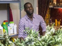 Ralph Angel - Queen Sugar