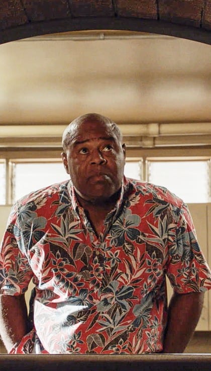 A Fiery End - Hawaii Five-0 Season 9 Episode 21