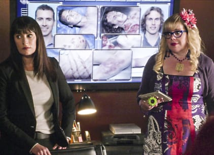 Watch criminal minds online season 13 putlocker