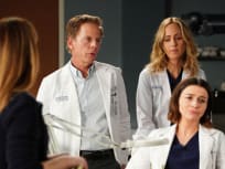 Grey's anatomy s16 shop watch online