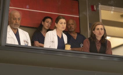 ABC Sets Finale Dates for Grey's Anatomy, The Rookie, & More!