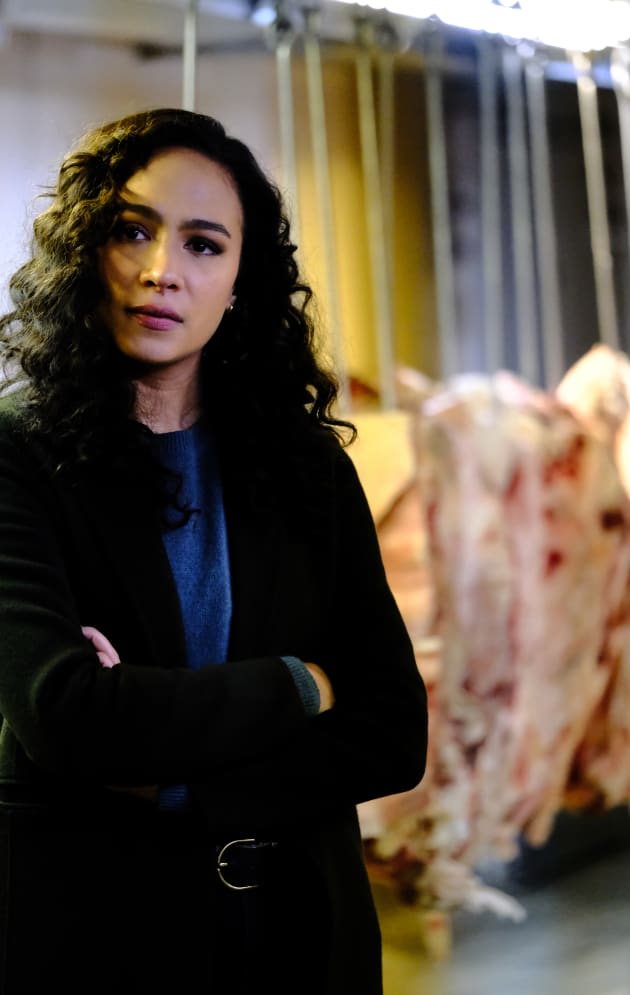 Dani- The Bright Whisperer - Prodigal Son Season 2 Episode 9
