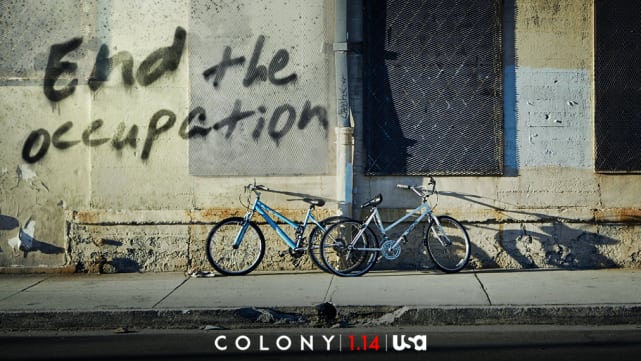 Colony