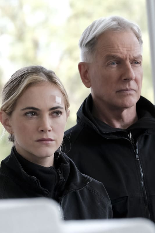 トップ Ncis 17 - ジャスラトーム