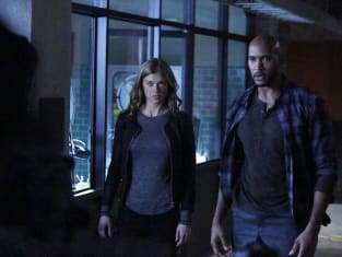 Agents of shield hotsell season 2 watch online