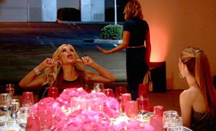 The Real Housewives of Orange County: Watch Season 9 Episode 13 Online
