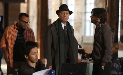 The Blacklist Review: The Hidden Truth