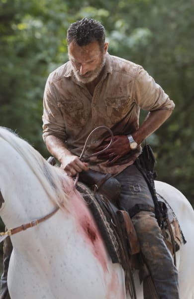 Stop Bleeding All Over That Beautiful Horse, Rick! - The Walking Dead Season 9 Episode 5