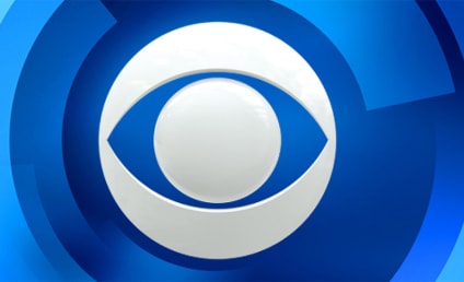 CBS Picks Up Two New Shows for Fall, Including Sophia Bush Drama Good Sam