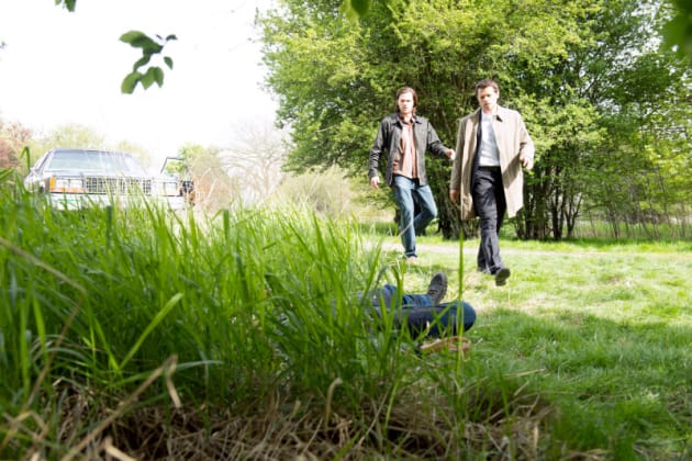 A Body in the Grass