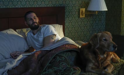 Watch In The Dark Online: Season 4 Episode 12