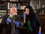 A Severed Foot - Rizzoli & Isles