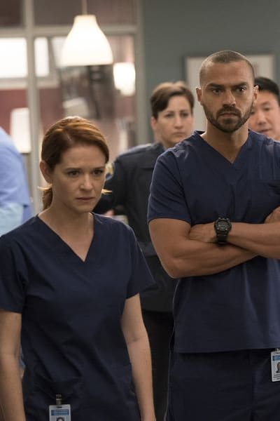 Grey's anatomy season 14 episode 10 2024 watch online