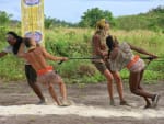 Secrets and Allies - Survivor