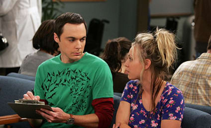 The Big Bang Theory Episode Stills: "The Adhesive Duck Deficiency"