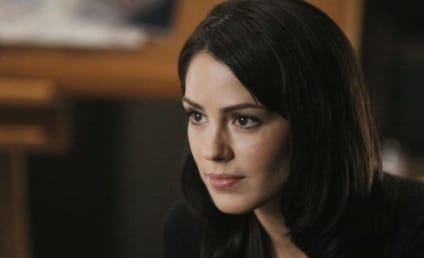 Michelle Borth to Exit Hawaii Five-0