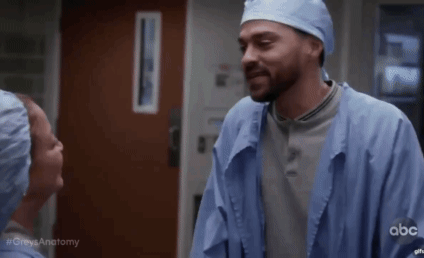 Grey's Anatomy Season 15 Episode 11 Review: The Winner Takes It All