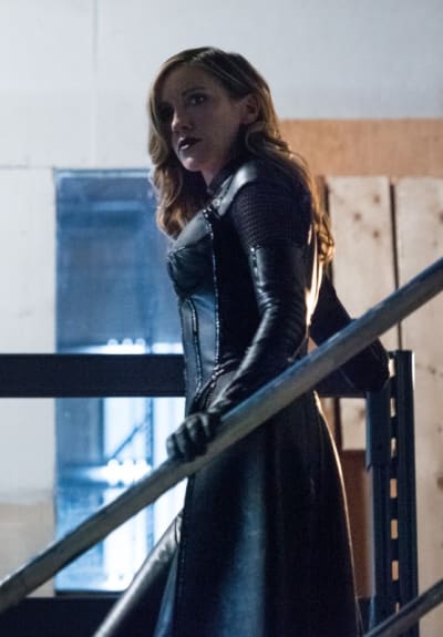Canaries May Fly in Female-Led Arrow Spinoff - TV Fanatic