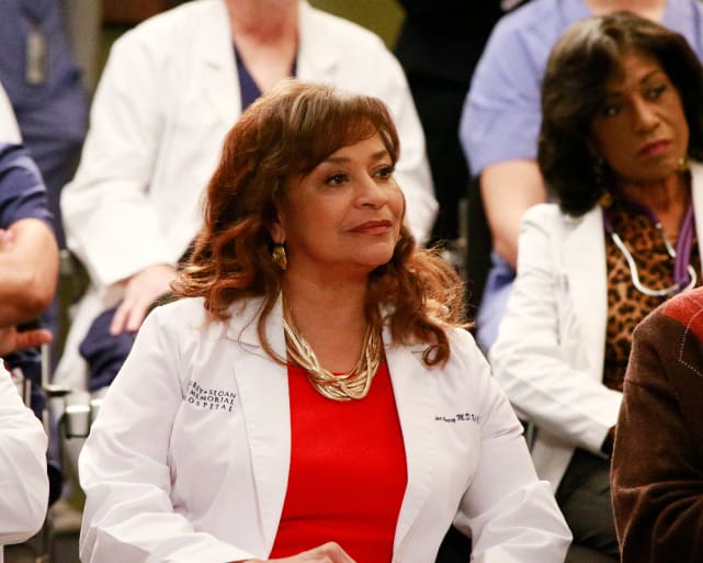 Undivided Attention - Grey's Anatomy Season 13 Episode 21