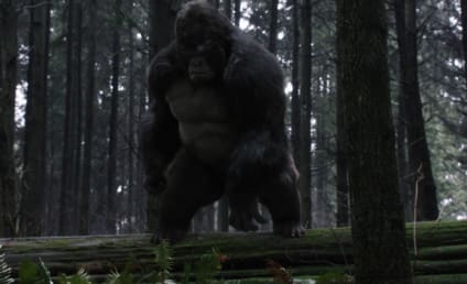 The Flash Season 3 Episode 13 Review: Attack on Gorilla City