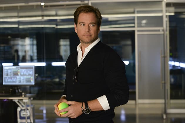 An Unexpected Connection - Bull