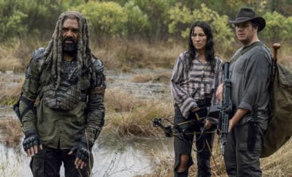The Walking Dead Cast Teases Season 11, the Long Road to the Series Finale