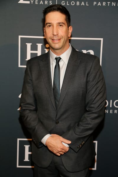 David Schwimmer