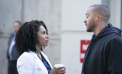 Watch Grey's Anatomy Online: Season 14 Episode 15