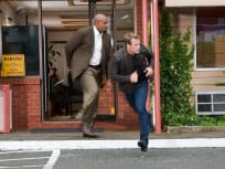 Run, Chance and Winston!