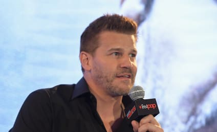 David Boreanaz Defends Buffy Reboot: What Did He Say?!