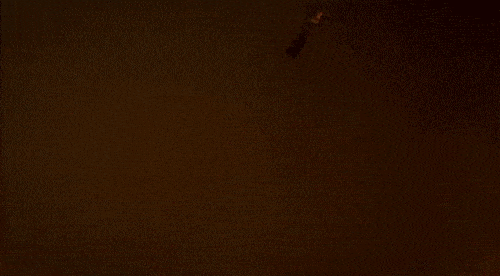Scorpion Extinction Danger