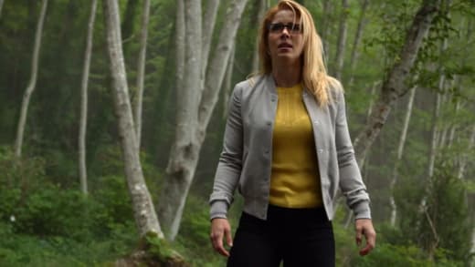 Arrow7-4
