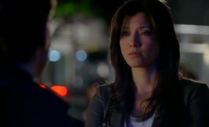 Kelly Hu Speaks on Castle Romance, Receiving Hate Mail and Guarding Bodies