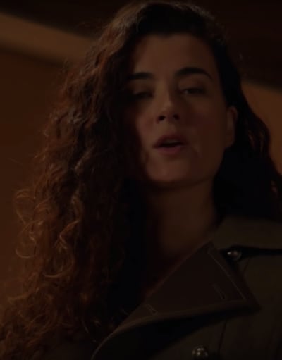 She's Back! - NCIS Season 16 Episode 24