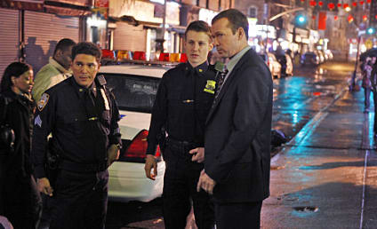 Blue Bloods Review: "Chinatown"