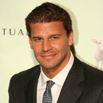 David Boreanaz